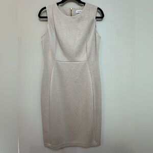 Calvin Klein Oatmeal Heathered Beige Sheath Dress Size 10